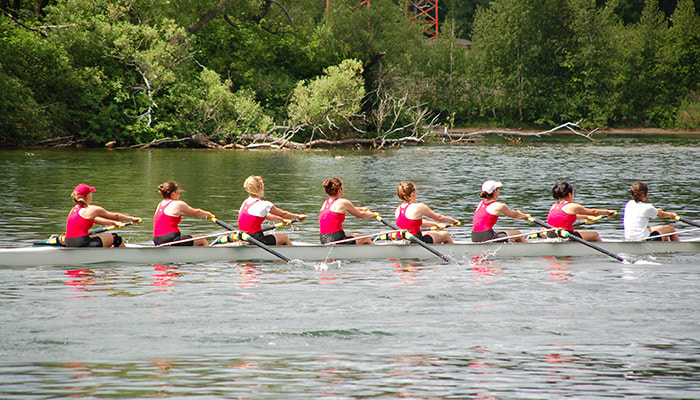 Rowers working together as a team